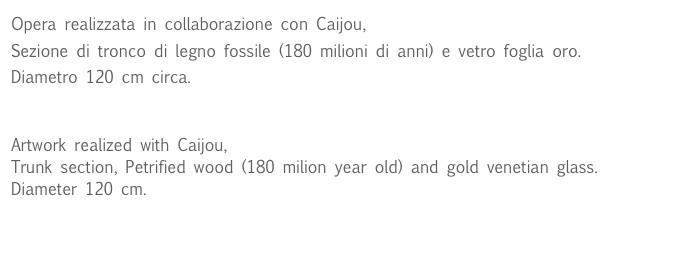 Opera realizzata in collaborazione con Caijou, www.caijou.com
Sezione di tronco di legno fossile (180 milioni di anni) e vetro foglia oro.
Diametro 120 cm circa.


Artwork realized with Caijou, www.caijou.com
Trunk section, Petrified wood (180 milion year old) and gold venetian glass.
Diameter 120 cm.

