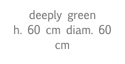 deeply green
h. 60 cm diam. 60 cm