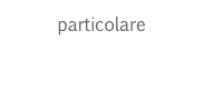 particolare